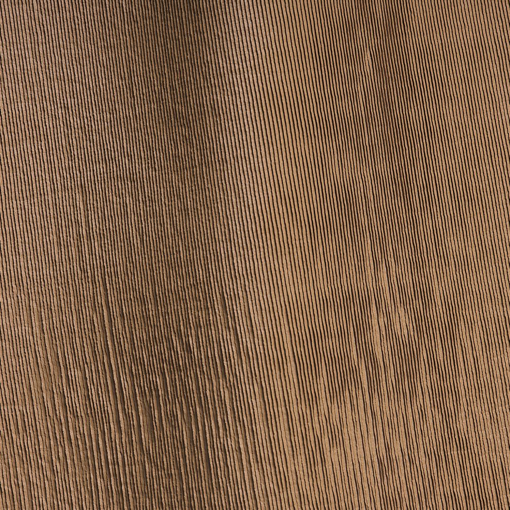 Mushroom Pancake Studioart0203