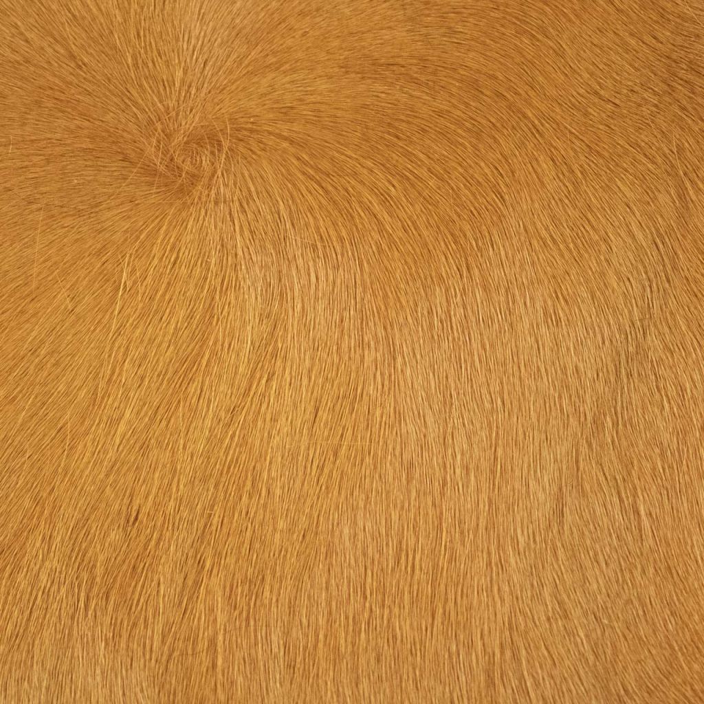 Rodeo Hairy Montecristo