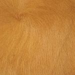 Rodeo Hairy Montecristo