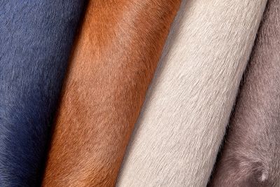 Studioart Rodeo Hairy