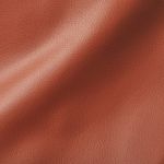 Studioart City Autunno