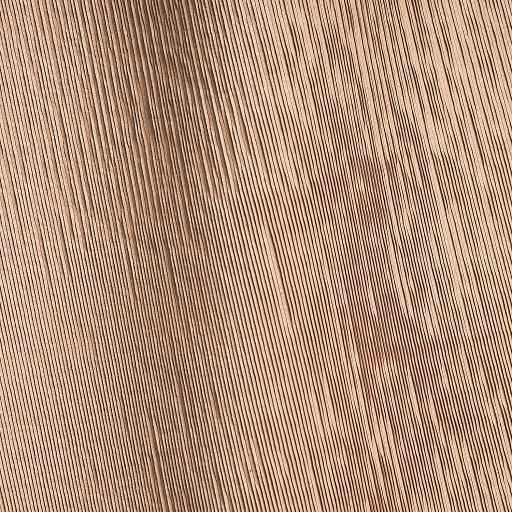 Mushroom Albicocca Studioart0205