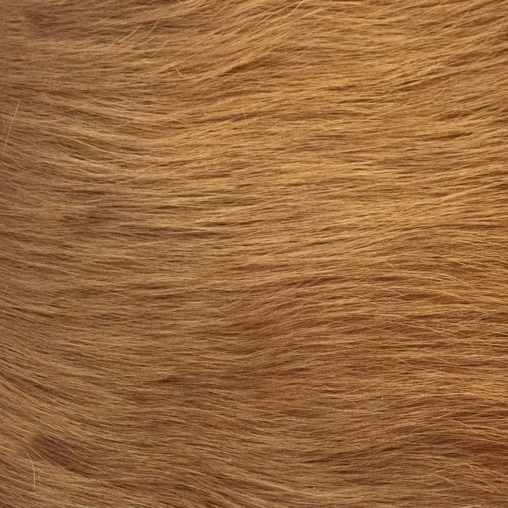 Rodeo Hairy Tan
