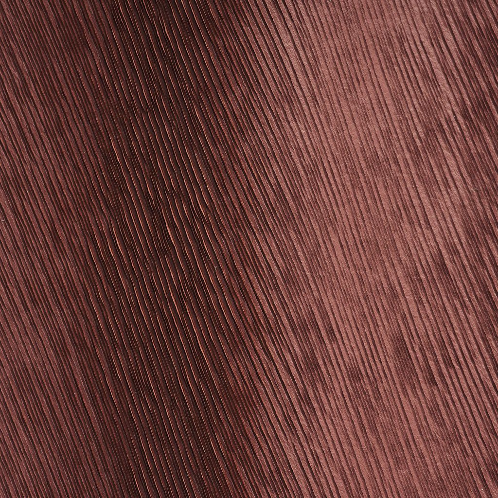 Mushroom Panama Studioart0181