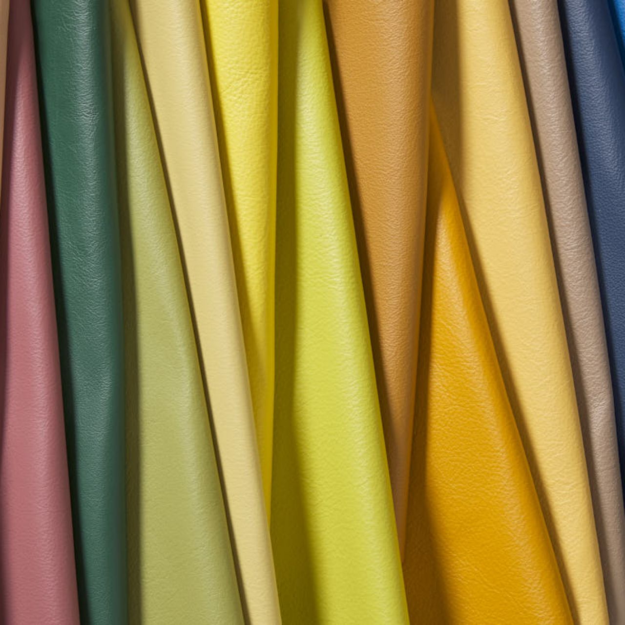 City Collection 2021