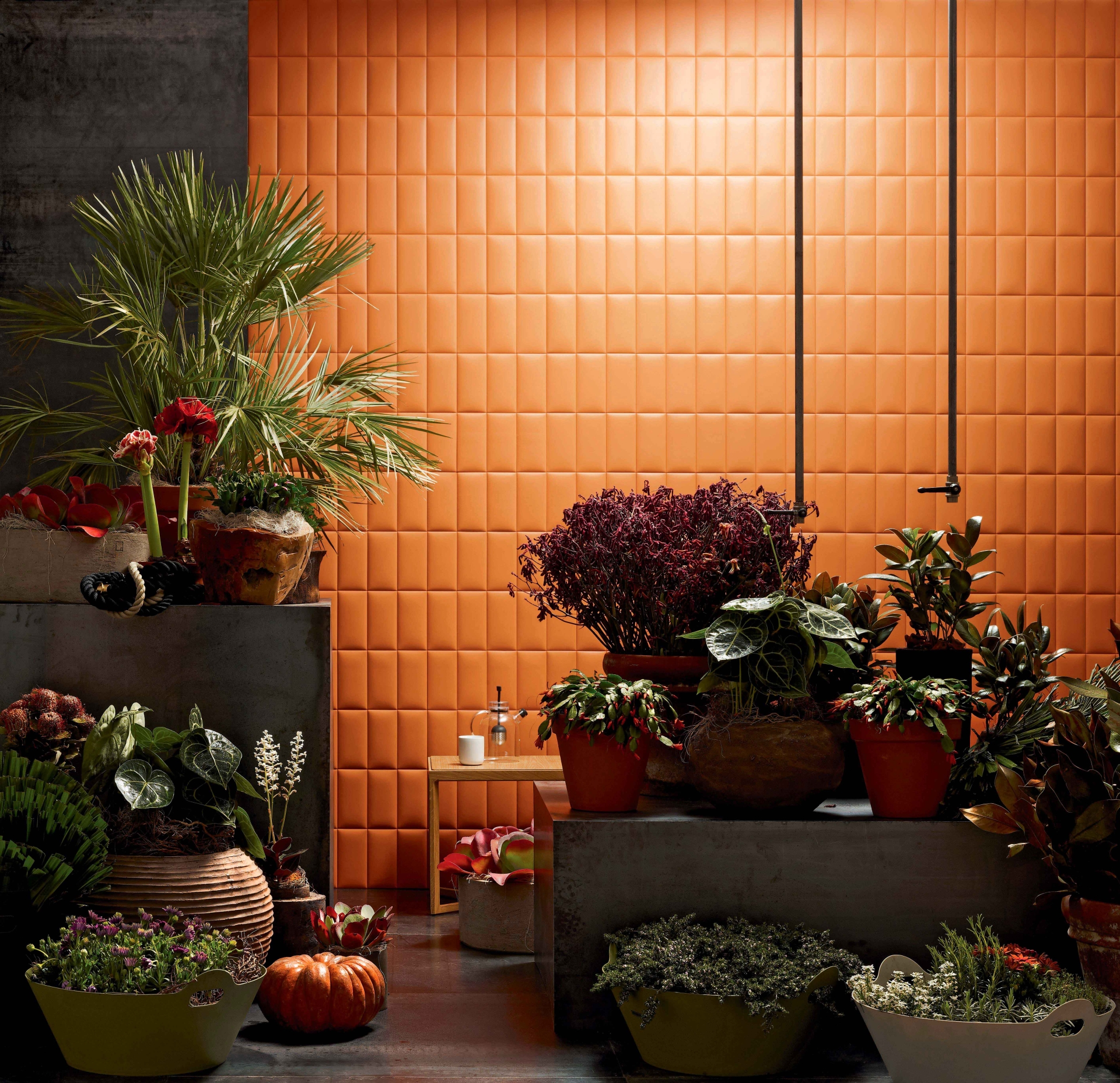 Studioart City Pampa 10x20cm Bombato Lr