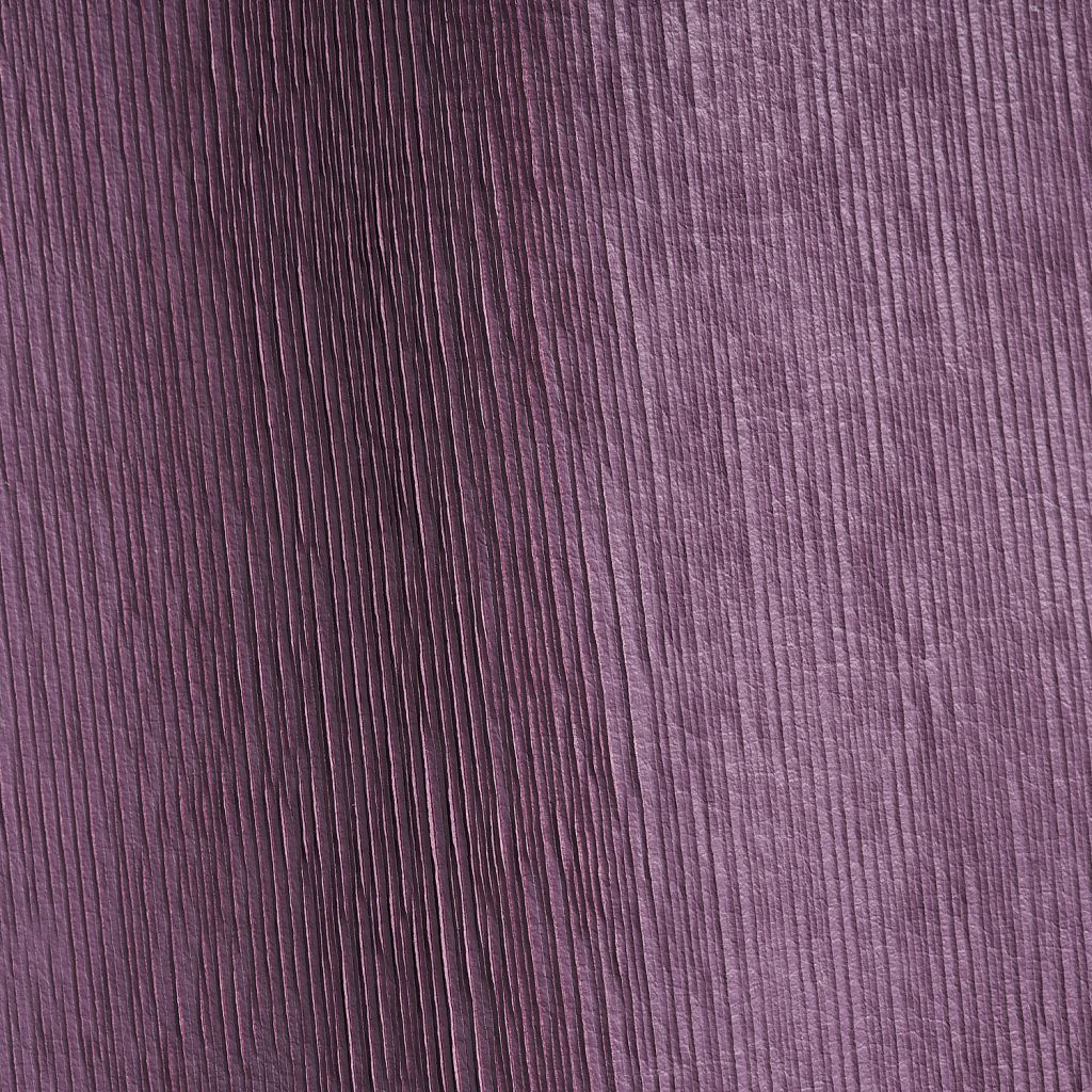 Mushroom Violette Studioart0185