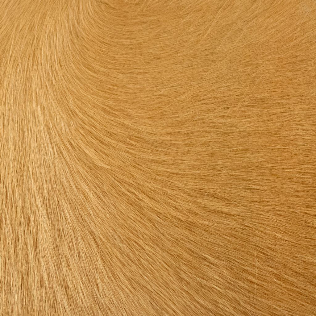 Rodeo Hairy Mountain Tan