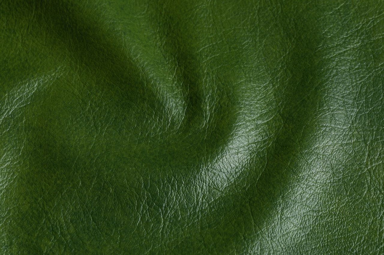 Sostenibilita Closeup Pelle