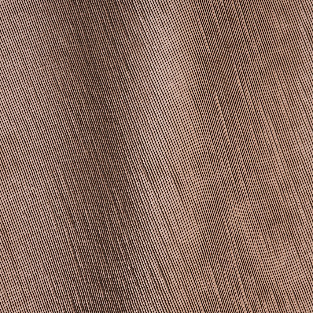 Mushroom Fard Studioart0179