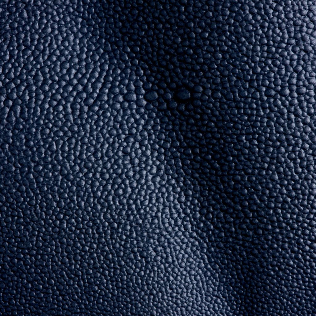 Studioart Razza Oltremare