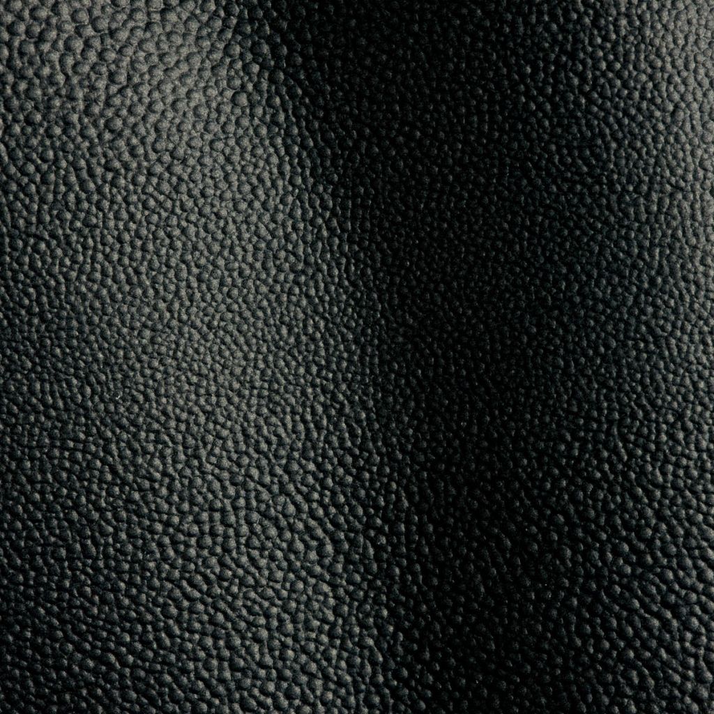 Studioart Razza Ivanof