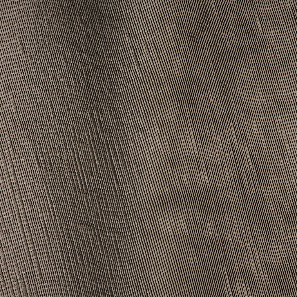 Mushroom Storm Studioart0201