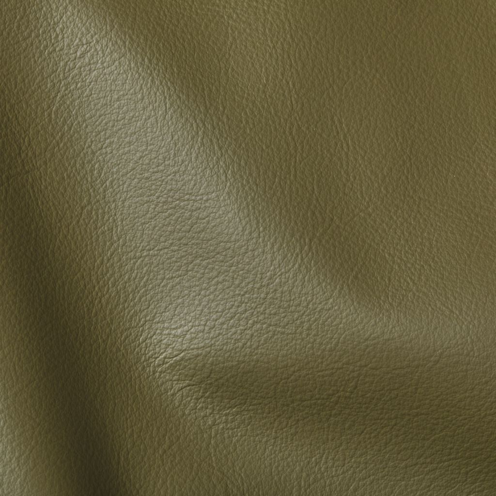 Studioart City Muschio