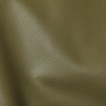 Studioart City Muschio