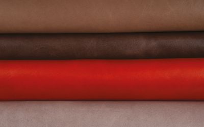 Studioart Prodotti Star Cover