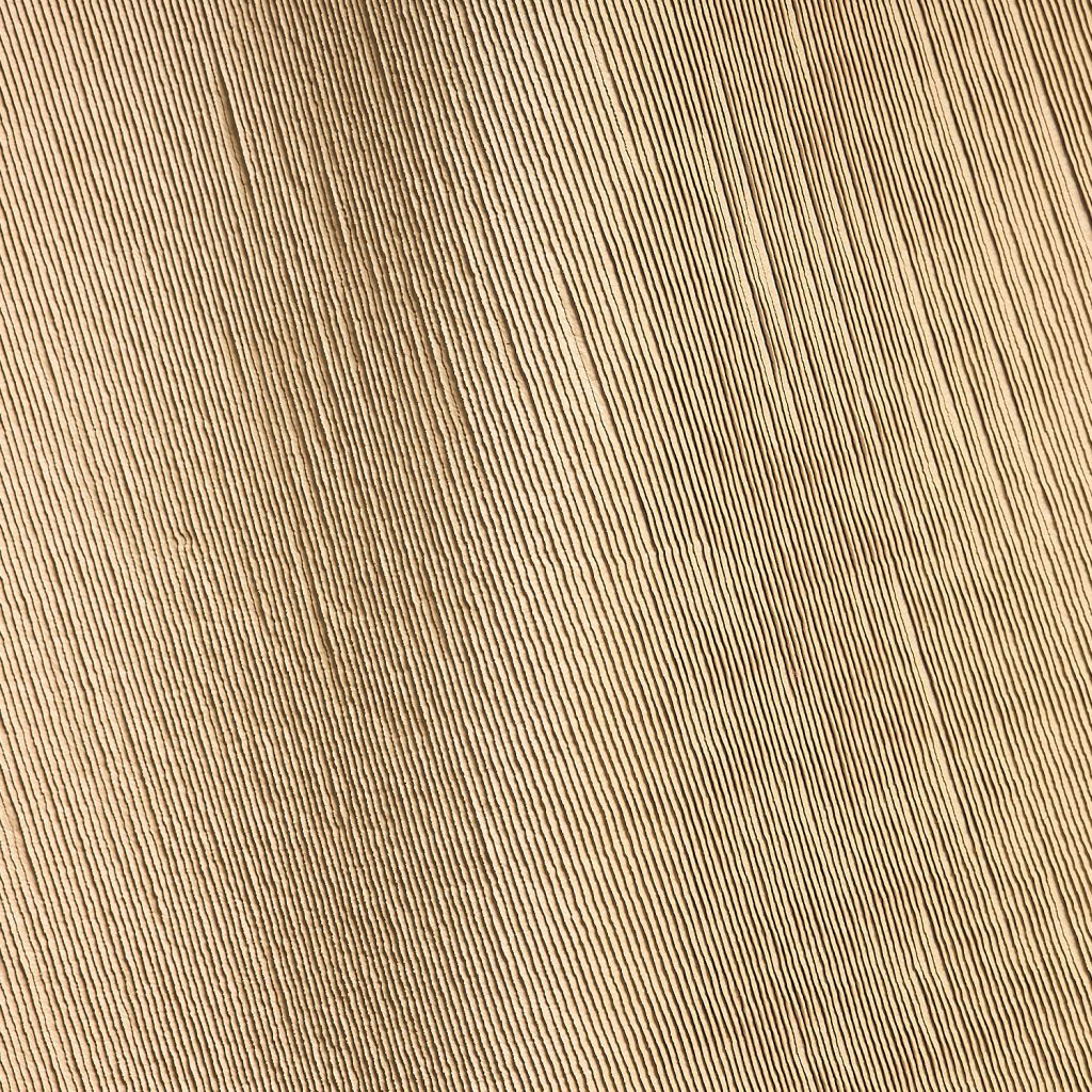 Mushroom Oyster Studioart0187